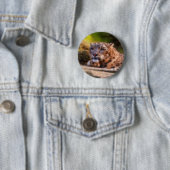 Loungingヒョウ 缶バッジ (インサイチュ)