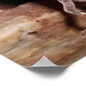 "Lounging リラックス Lizard Leopard Geckoポスター ポスター (角)