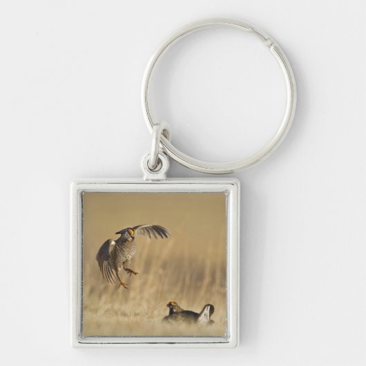 Loup Countyで少なくとも雄の草原の鶏 キーホルダー (正面)