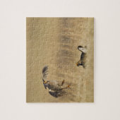 Loup Countyで少なくとも雄の草原の鶏 ジグソーパズル (縦)