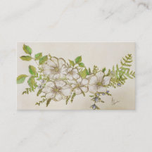 Lousianaのマグノリア