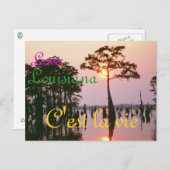 Lousiana/Atchafalayaの洗面器 ポストカード (正面/裏面)