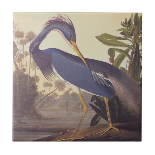 Lousiana Heron in Gray, Green, and Blue by Audubon タイル (正面)