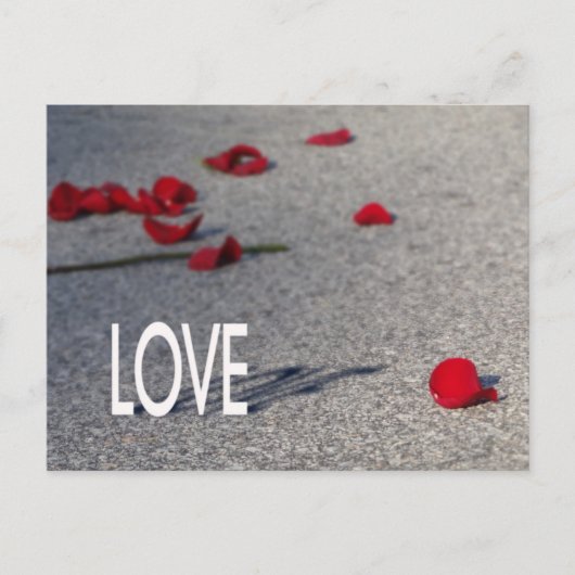 LOVEとバラ花びら ポストカード (正面)
