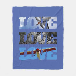 LOVEフレームの飛行機の写真、航空シンプル フリースブランケット