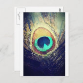 Love2Snapピーコックの羽根 ポストカード (正面/裏面)