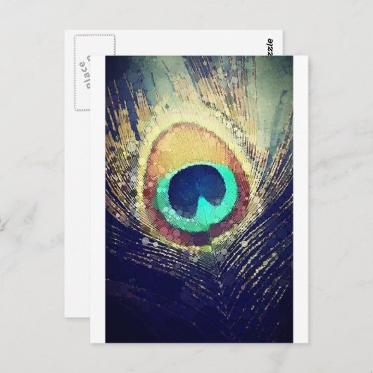 Love2Snapピーコックの羽根 ポストカード (正面/裏面)