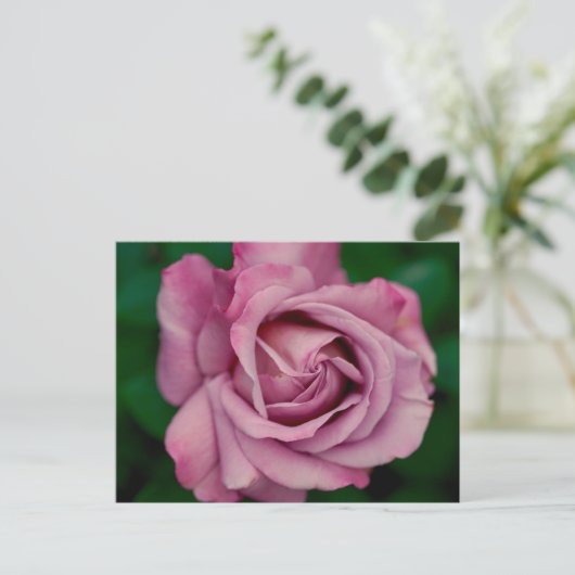 Love ポストカード (スタンド正面)