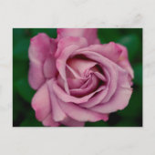 Love ポストカード (正面)