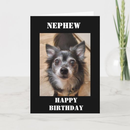 LOVE **甥**カード付き誕生日 カード (正面)