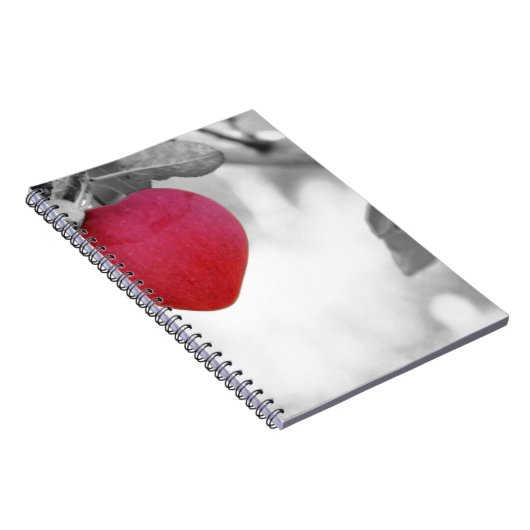 Love Apple ノートブック (右側)