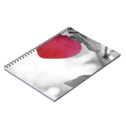 Love Apple ノートブック (左側)