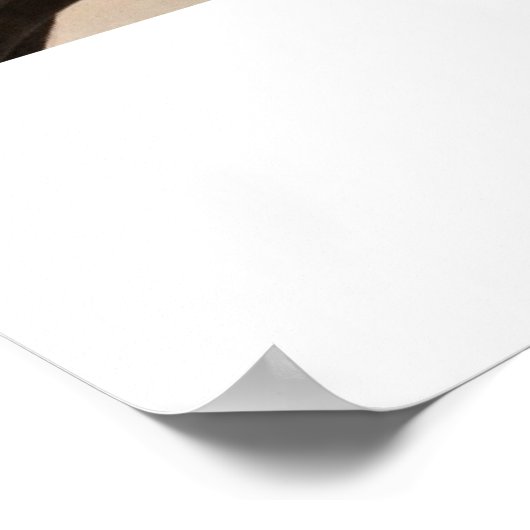 Love Birdsポスター ポスター (角)