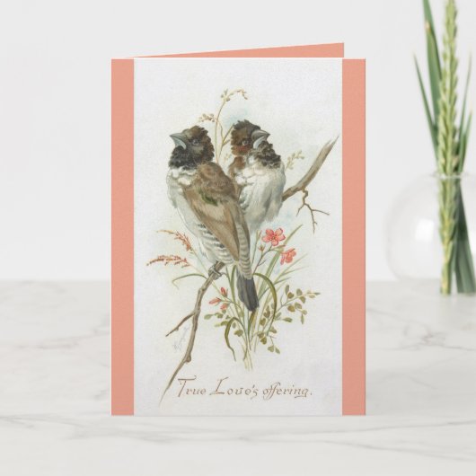 Love Birds Anniversary Greeting Card カード (正面)