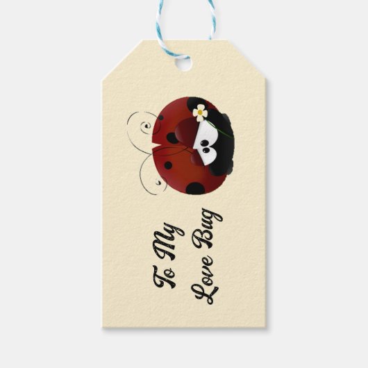 Love Bug Ladybug, Cute Cartoon Valentine’s Day ギフトタグ (正面)