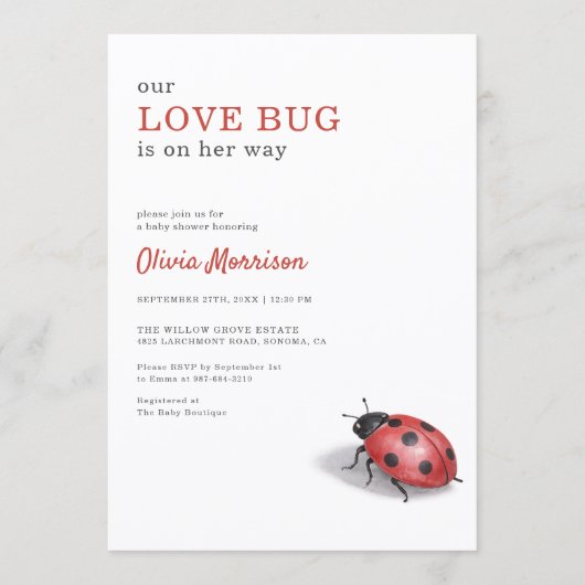 Love Bug Ladybug Gingham Baby Shower 招待状 (正面)