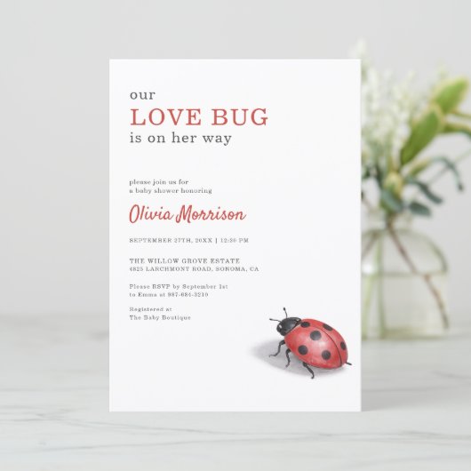 Love Bug Ladybug Gingham Baby Shower 招待状 (スタンド正面)