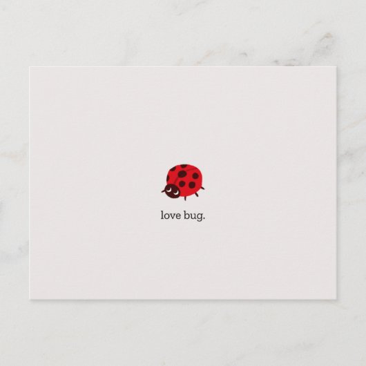 Love Bug Postkarte ポストカード (正面)