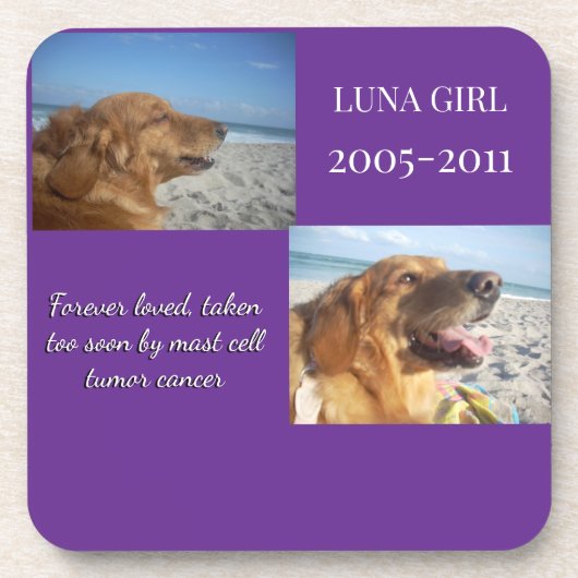 Love Carried Forward Always コースター (正面)