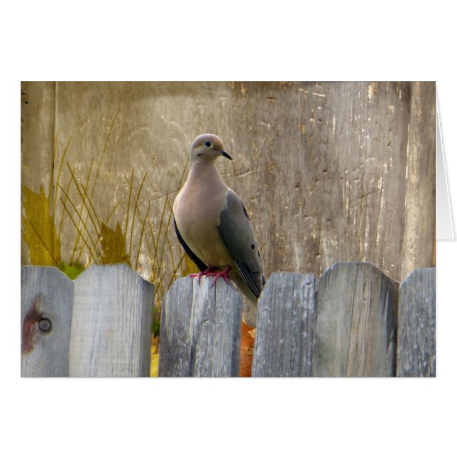 Love Doveカスタマイズ (正面横)