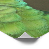 Love forever - cute parrots ポスター (角)