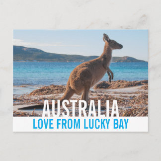 Love From Australia Kangaroo Lucky Bay写真 ポストカード