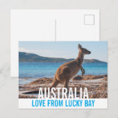 Love From Australia Kangaroo Lucky Bay写真 ポストカード (正面/裏面)
