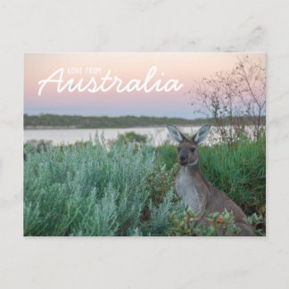 Love From Australia Kangaroo Sunset Lakeはがき ポストカード