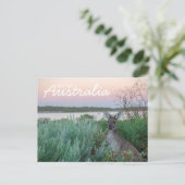 Love From Australia Kangaroo Sunset Lakeはがき ポストカード (スタンド正面)