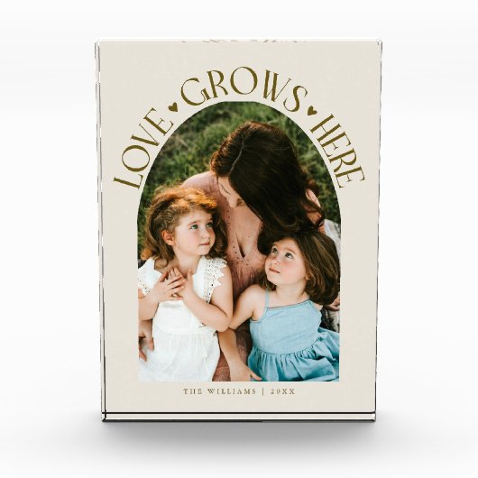 Love Grows Here モダンアーチクリーム フォトブロック (正面)
