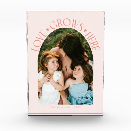 Love Grows Here モダンアーチ ピーチ フォトブロック (正面)