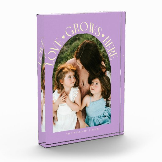 Love Grows Here Modern Arch Lemon Wisteria フォトブロック (左)