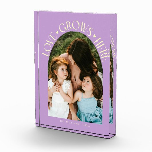 Love Grows Here Modern Arch Lemon Wisteria フォトブロック (右)