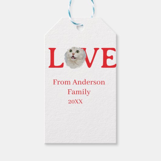 Love holidays cat photo pet family name bold lette ギフトタグ (正面)