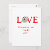 Love holidays cat photo pet family name bold lette ポストカード (正面/裏面)