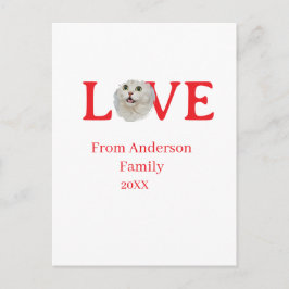 Love holidays cat photo pet family name bold lette ポストカード