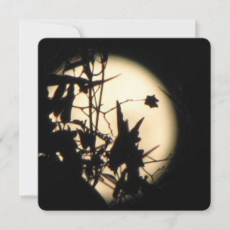 Love in the Moonlight shimmer 招待状