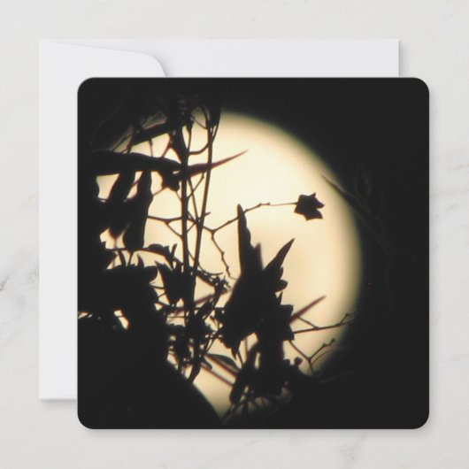 Love in the Moonlight shimmer 招待状 (正面)