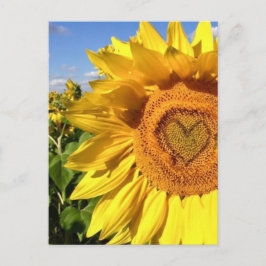 Love in the Sunflowers ポストカード