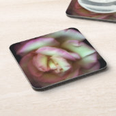 <Love is a Rose> Nathanグリフィス著 コースター (左側)