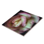 <Love is a Rose> Nathanグリフィス著 タイル (側面)