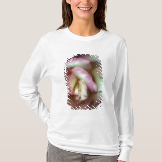 <Love is a Rose> Nathanグリフィス著 Tシャツ (正面)