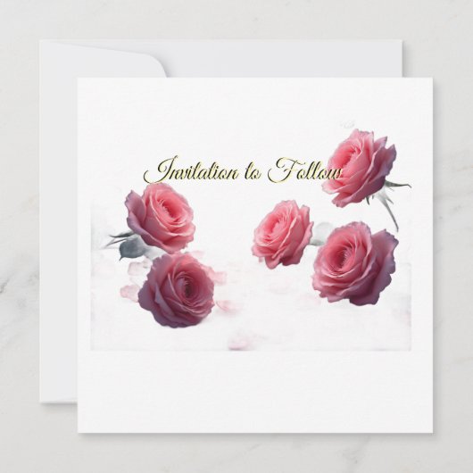 Love is in Bloom Pink Roses Save the Date Wedding (裏面)
