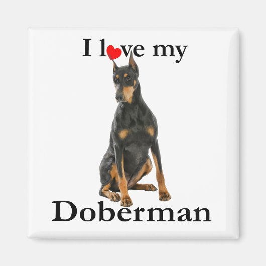 Love My Doberman Magnet マグネット (正面)