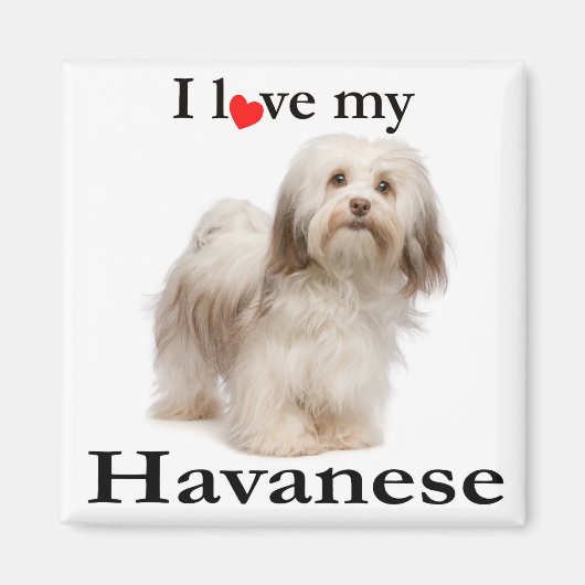Love My Havan Magnet マグネット (正面)