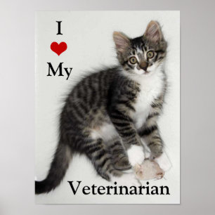Love My Veterinarian Zorro子猫ポスター ポスター