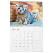 Love of Photo Wall Calendar カレンダー (3月 2027)