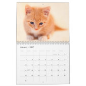 Love of Photo Wall Calendar カレンダー (1月 2027)