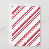 Love Paws Joy – 赤と白 – Pets Christmas Photo シーズンカード (裏面)