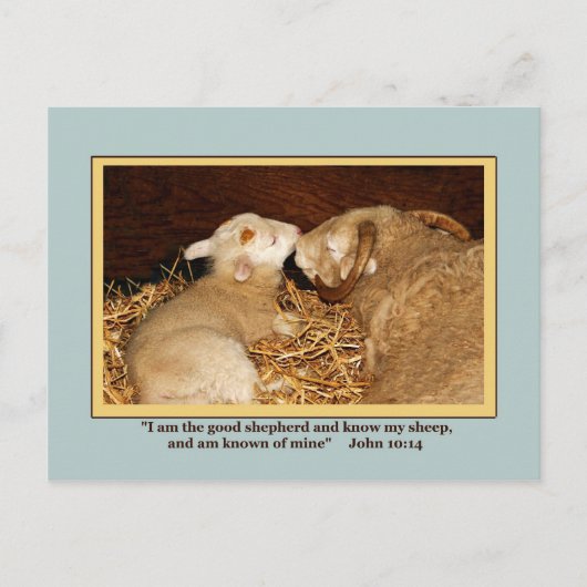 LOVE & PEACEポストカード ポストカード (正面)